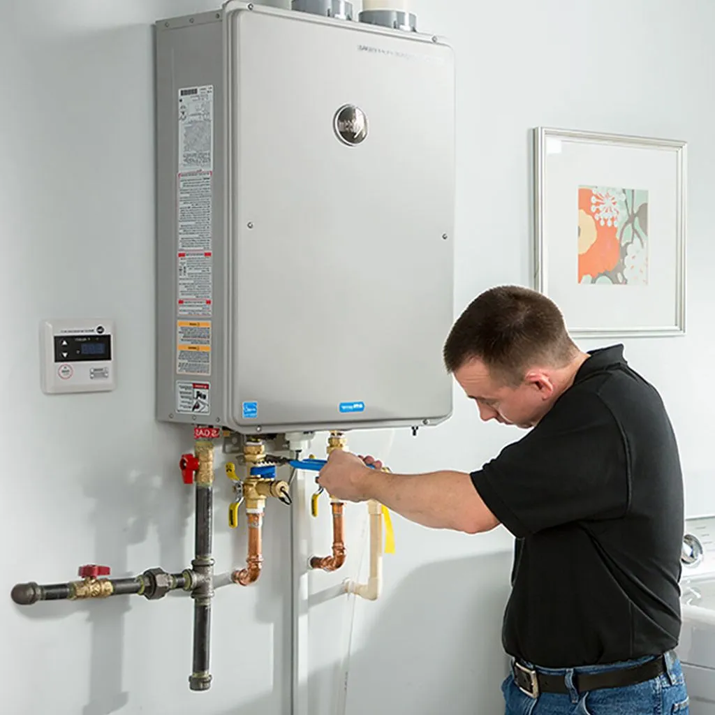 tankless water heater repair in Linn, TX